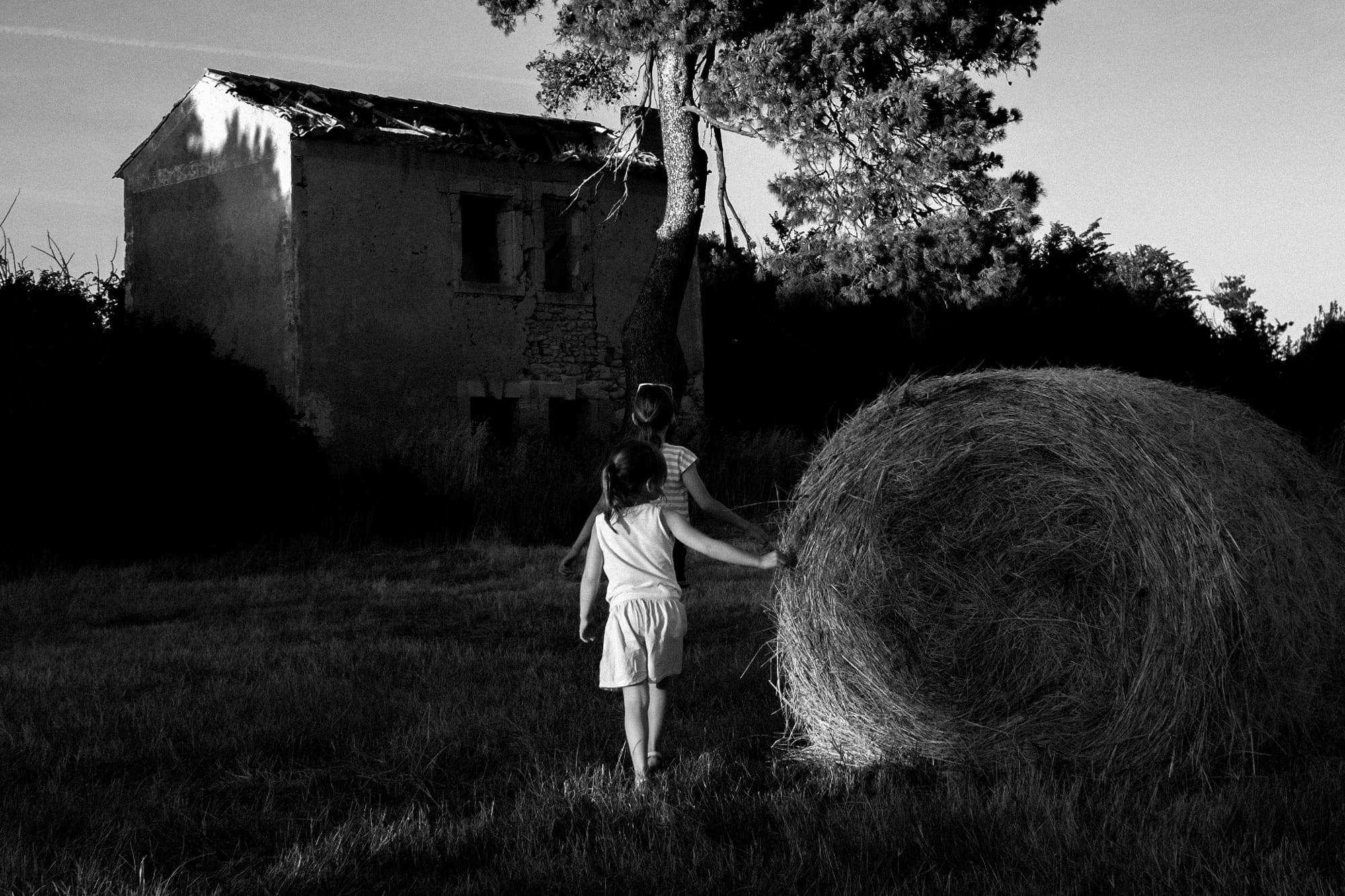 Family Legacy Photography