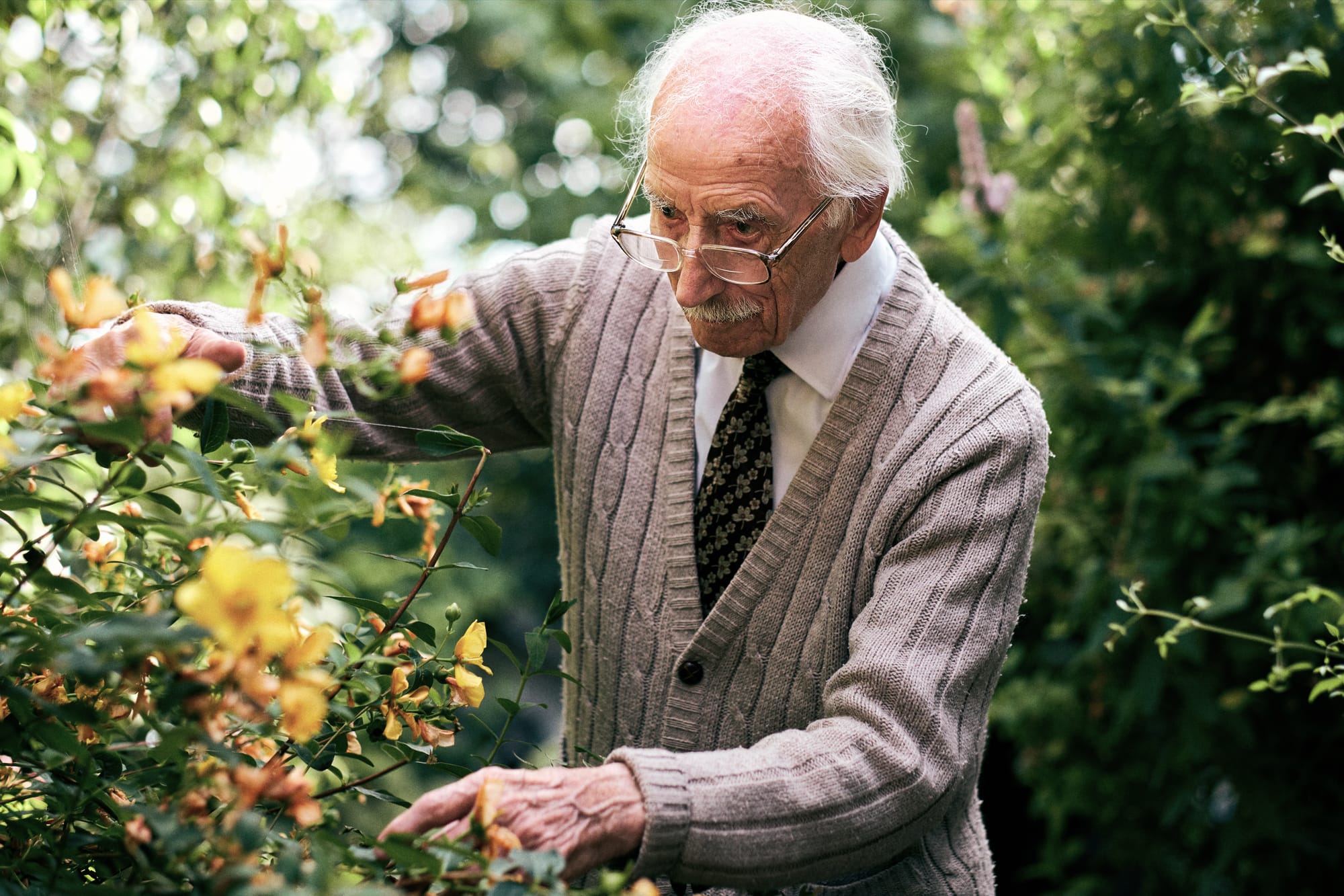 Family Legacy Photography